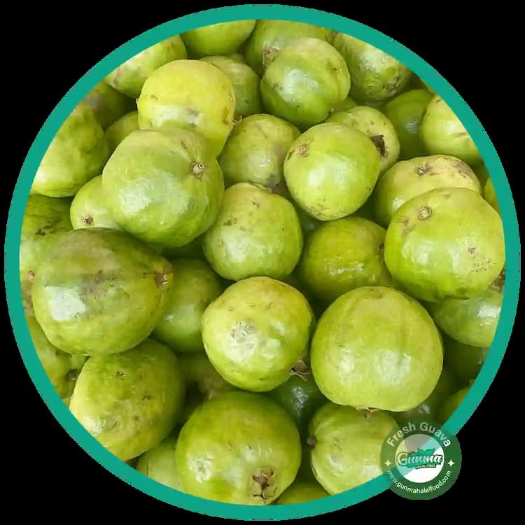 新鮮グアバ 12kg Buy Fresh Ripe Guava 1kg | Halal-Certified Tropical Fruit – Gunma