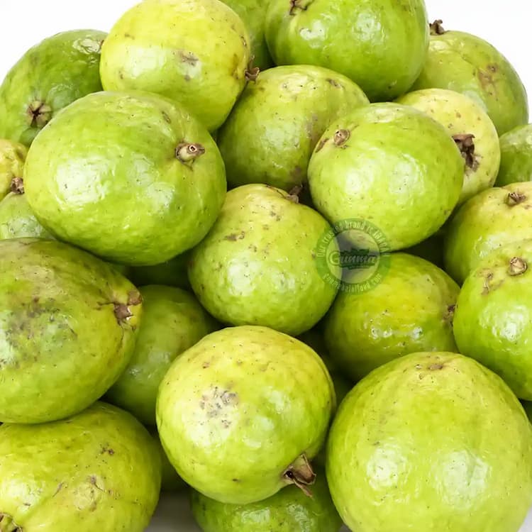 Buy Fresh Guava 500g (2pcs) in Japan | 新鮮なグアバ