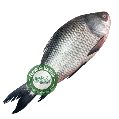 Fresh Bangladeshi Katla Fish Whole Cut 2.6kg - 2.7kg (±200g) カトラ(魚)