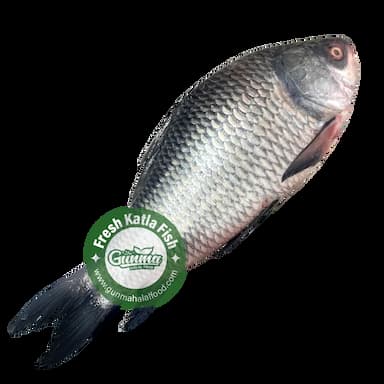 Fresh Bangladeshi Katla Fish Whole Cut 1kg (±150g) カトラ(魚)