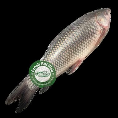 Fresh Bangladeshi Rui Fish whole Cut 1.8kg - 1.9kg バングラデシュ産ルイフィッシュ