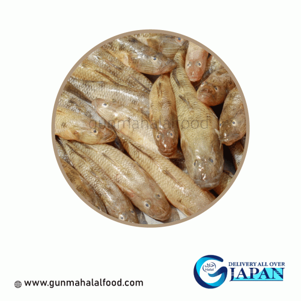 Baila Fish / bele (500gm) Frozen