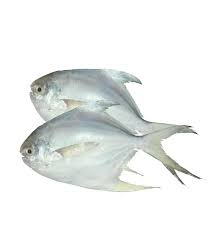 Rupchada fish Product of Thailand
