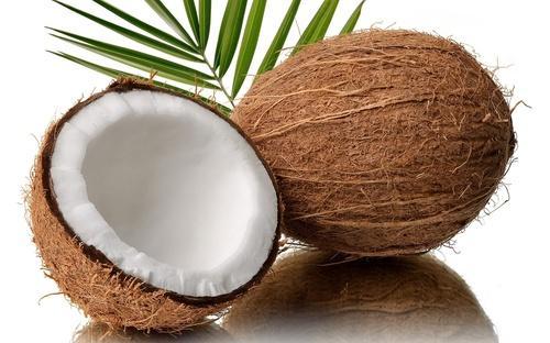 indian coconut exports 500x500 1