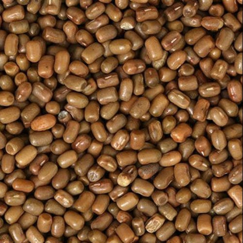 coriander seeds 1 kg 500x500 1