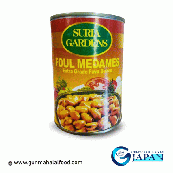 Foul Fava Beans Can (400g)